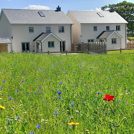 Brecon Beacons Cottage With Stunning Country Views Myddfai Eksteriør billede