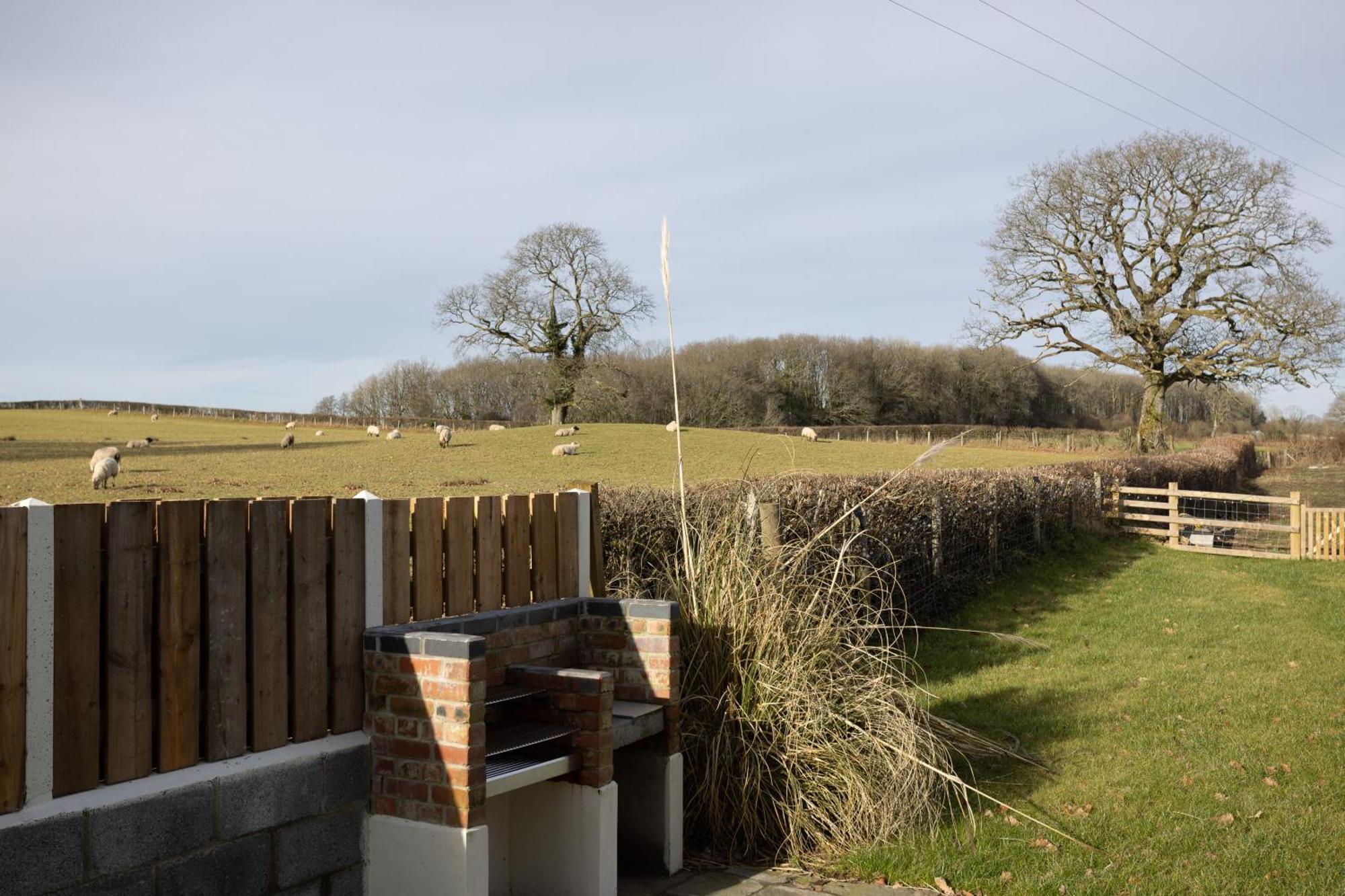 Brecon Beacons Cottage With Stunning Country Views Myddfai Eksteriør billede