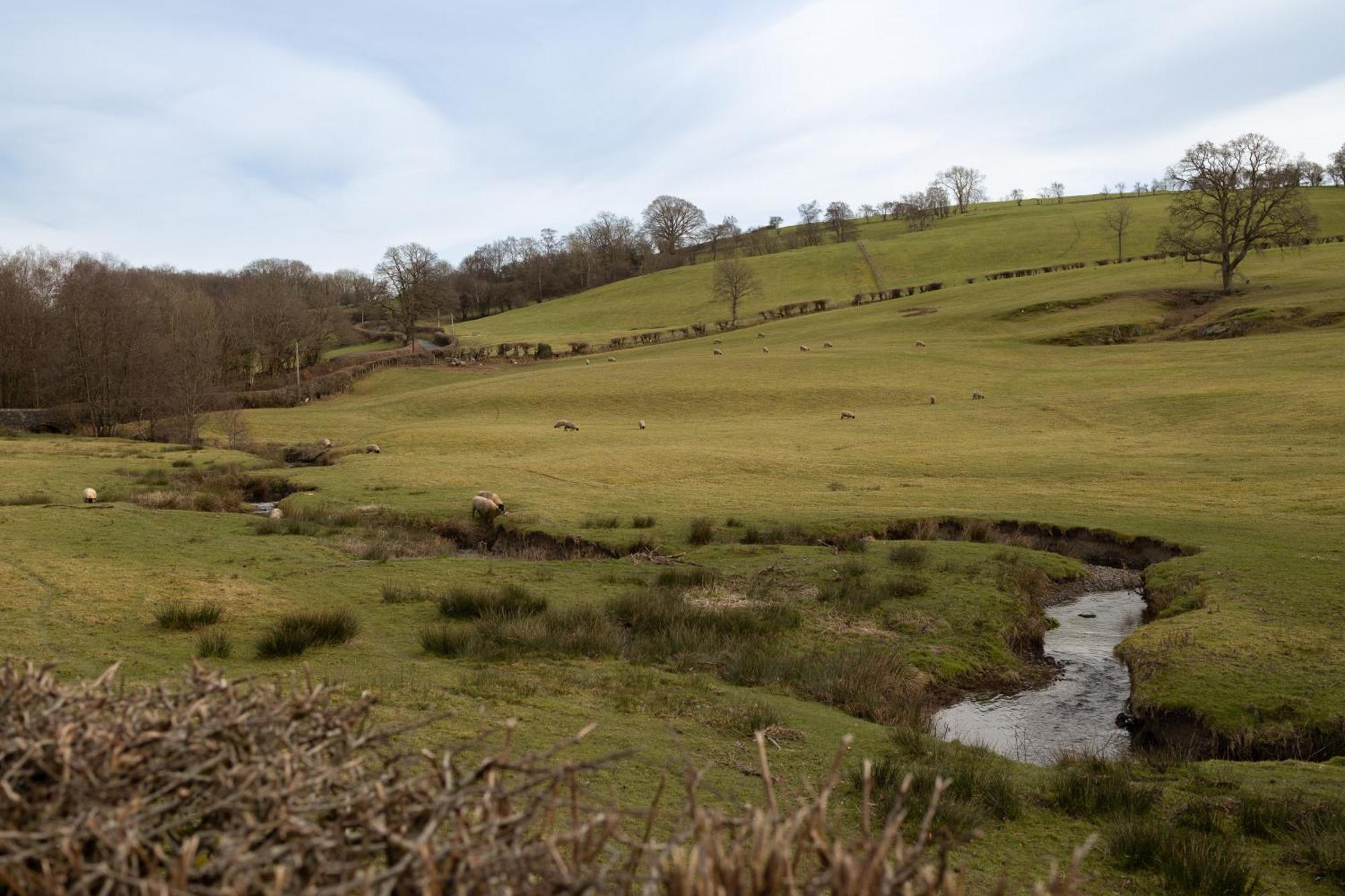 Brecon Beacons Cottage With Stunning Country Views Myddfai Eksteriør billede