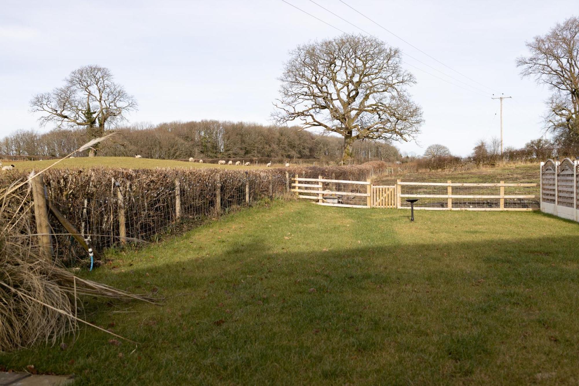 Brecon Beacons Cottage With Stunning Country Views Myddfai Eksteriør billede