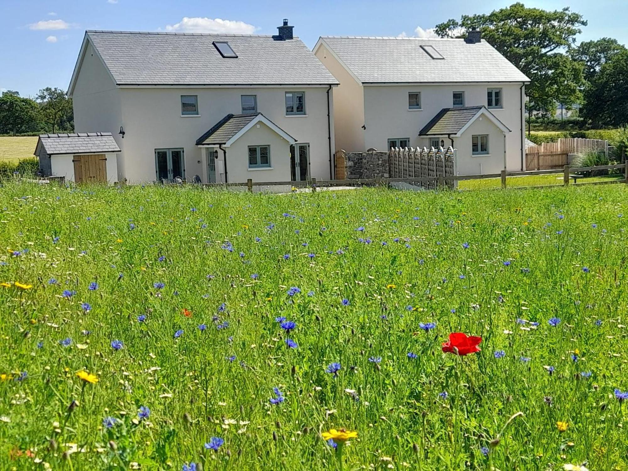 Brecon Beacons Cottage With Stunning Country Views Myddfai Eksteriør billede